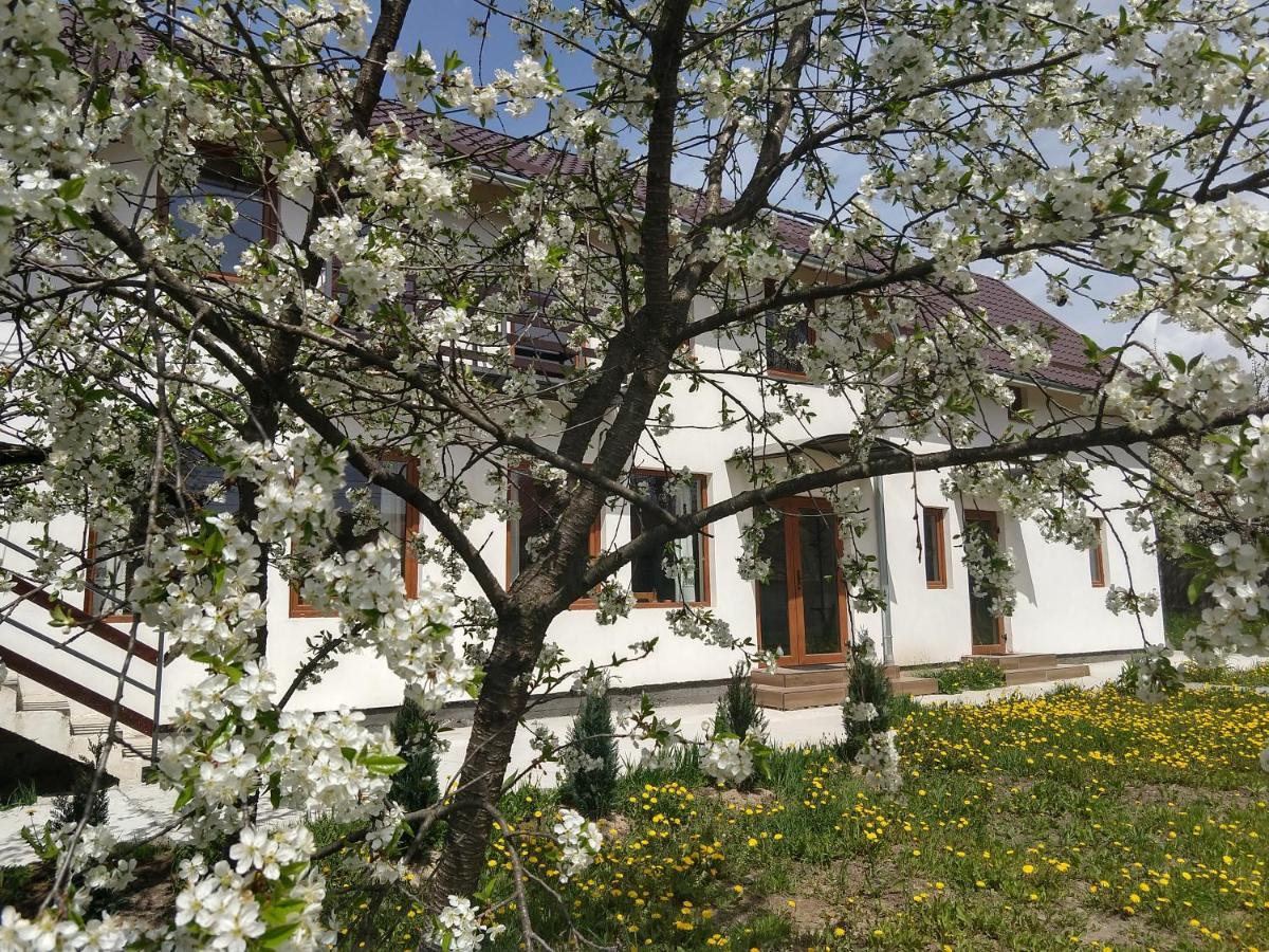 Vendel Guesthouse Lutoasa Exteriér fotografie